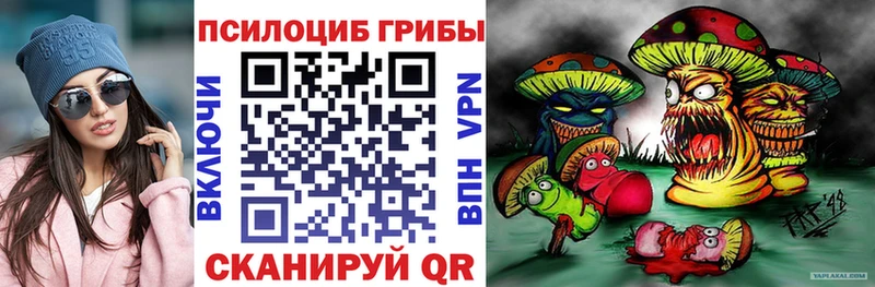 Галлюциногенные грибы мухоморы  Купить закладки  Пущино 